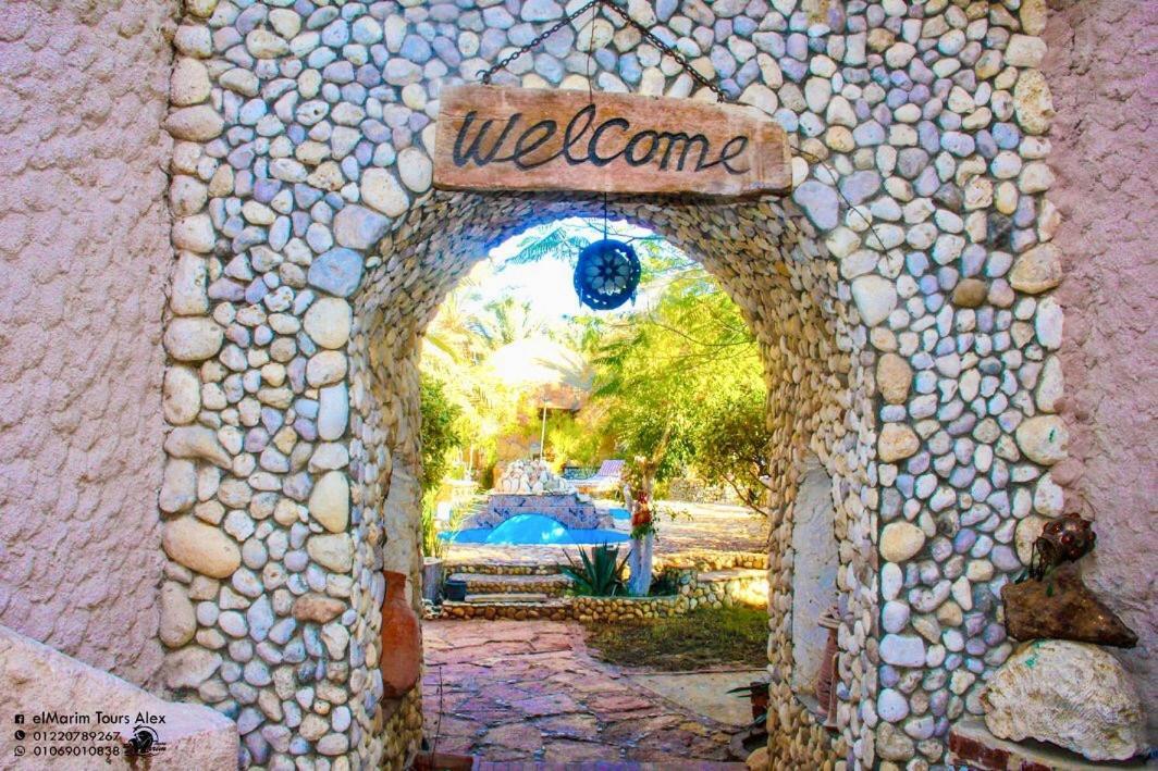Dream Lodge Siwa Szíva-oázis Kültér fotó