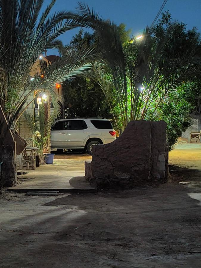 Dream Lodge Siwa Szíva-oázis Kültér fotó