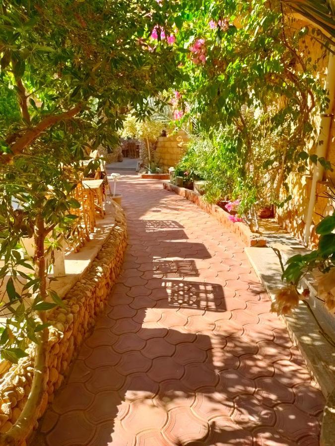 Dream Lodge Siwa Szíva-oázis Kültér fotó