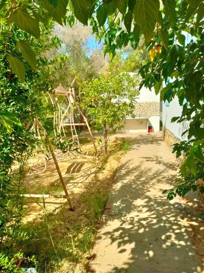 Dream Lodge Siwa Szíva-oázis Kültér fotó