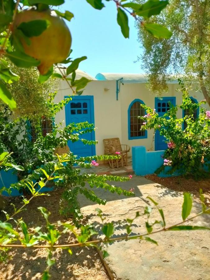 Dream Lodge Siwa Szíva-oázis Kültér fotó
