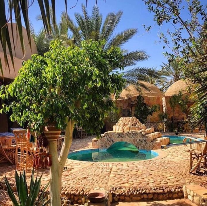 Dream Lodge Siwa Szíva-oázis Kültér fotó