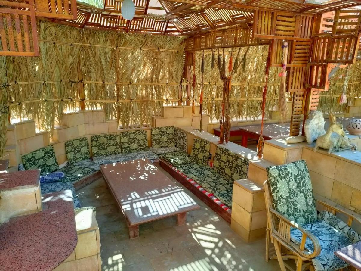 Dream Lodge Siwa Szíva-oázis Kültér fotó