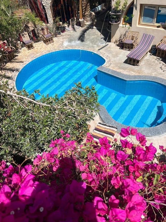 Dream Lodge Siwa Szíva-oázis Kültér fotó